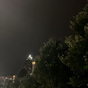 Meet your Posher, Leafy